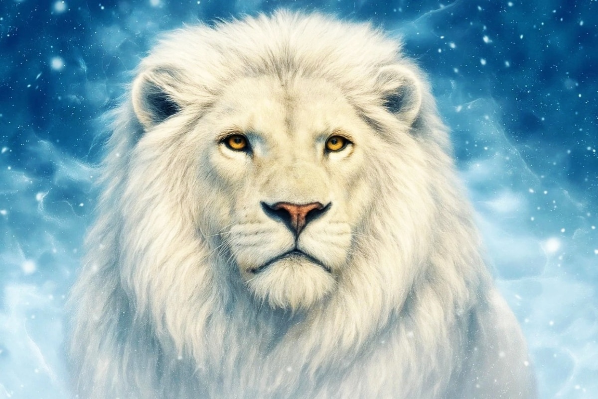 Lew polarny - pozycjoner Studio A7 - SEO/SEM